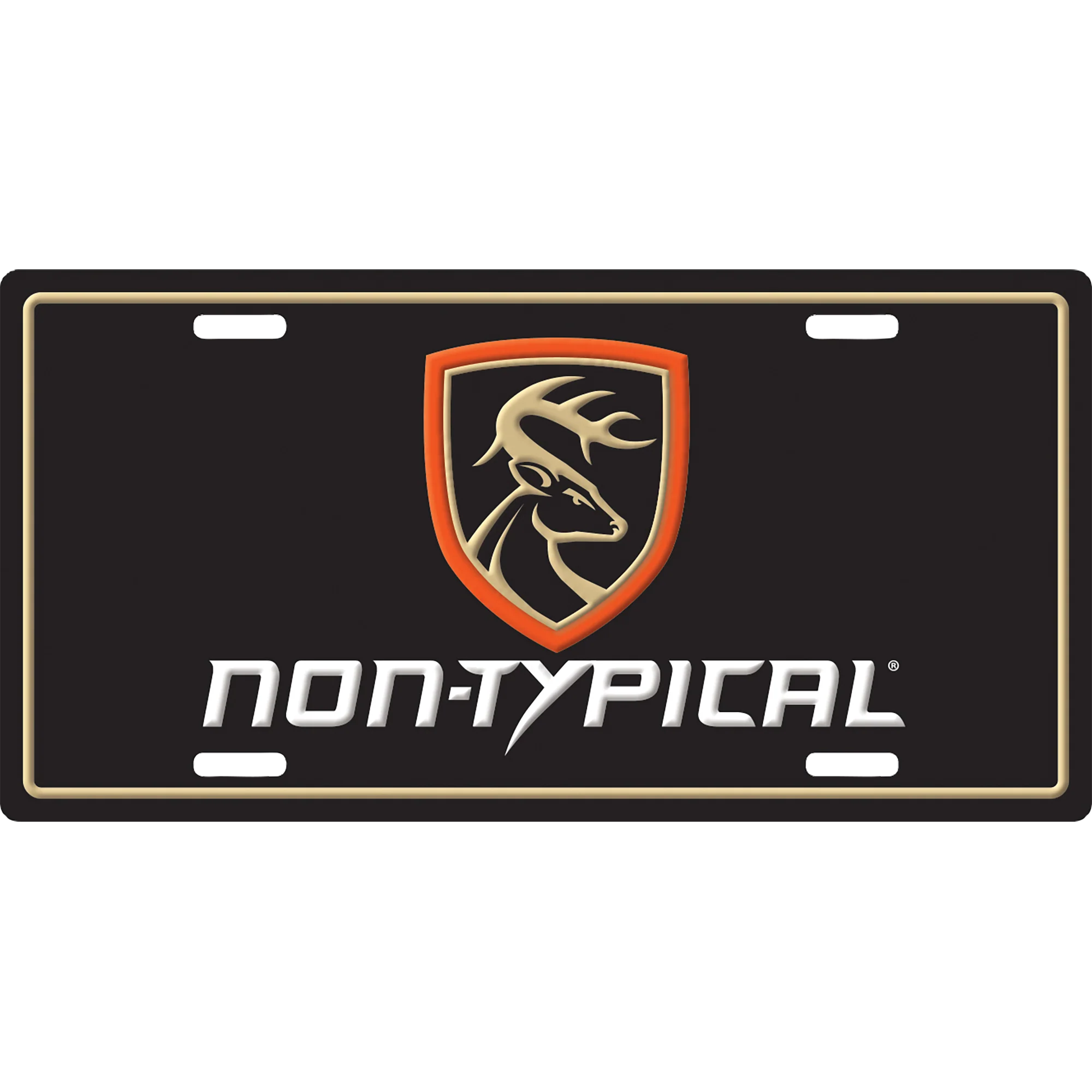 Non-Typical License Plate - Image 3